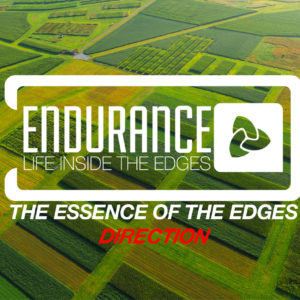 Endurance – Life Inside the Edges – The Essence of the Edges – Direction