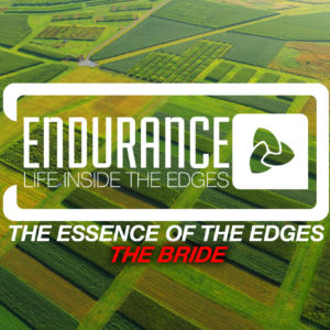 Endurance – Life Inside the Edges – The Essence of the Edges – The Bride