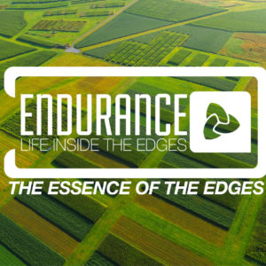 Endurance: Life Inside the Edges – The Essence of the Edges