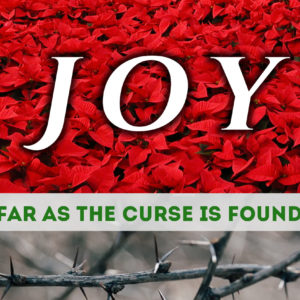 Joy…Far as the Curse Is Found – Final week