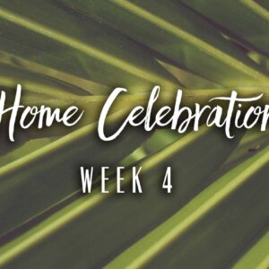 Home Celebration Week 4
