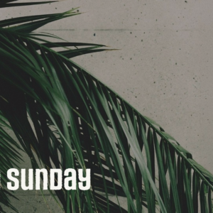 March 29, 2026 – Palm Sunday